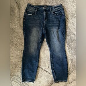 Judy Blue Skinny Fit Jeans Size 22W